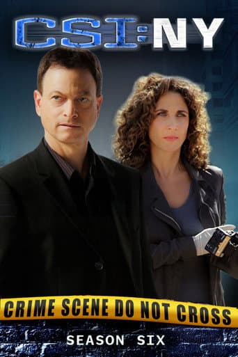 CSI: NY Season 6 poster