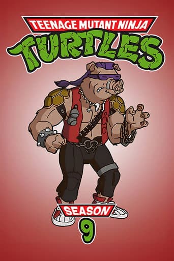 Teenage Mutant Ninja Turtles Season 9 poster