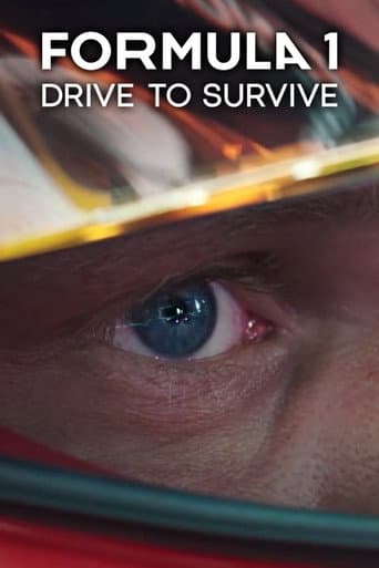 Formula 1: Drive to Survive Season 1 poster