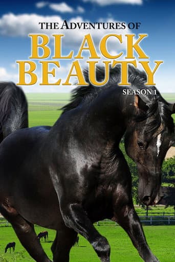 The Adventures of Black Beauty Season 1 poster