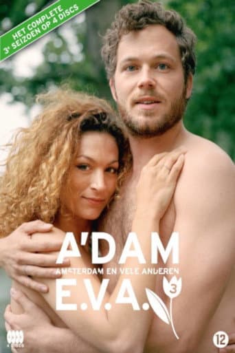Amsterdam Paradise Season 3 poster