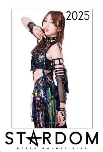Stardom on Stardom World Season 15 poster