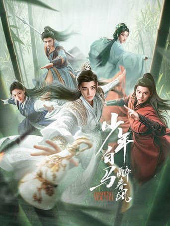 Dashing Youth Season 1 poster