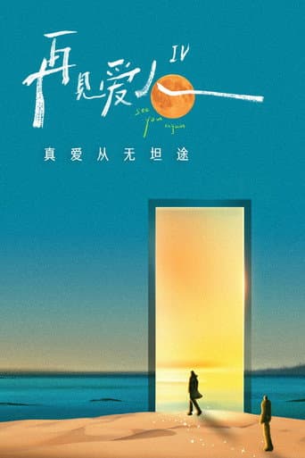 再见爱人 特别篇 Season 4 poster