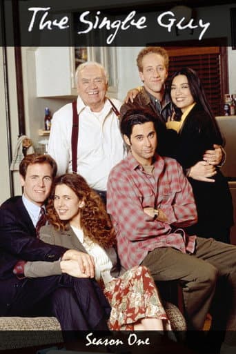 The Single Guy Season 1 poster