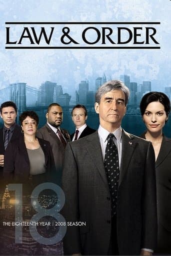 Law & Order Season 18 poster