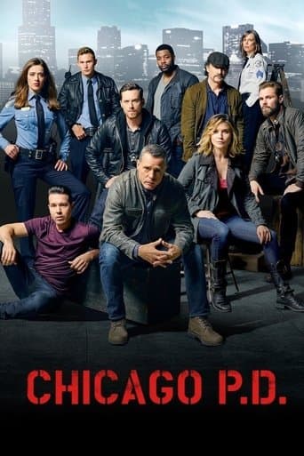 Chicago P.D. Season 3 poster