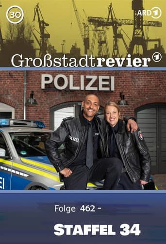 Großstadtrevier Season 34 poster