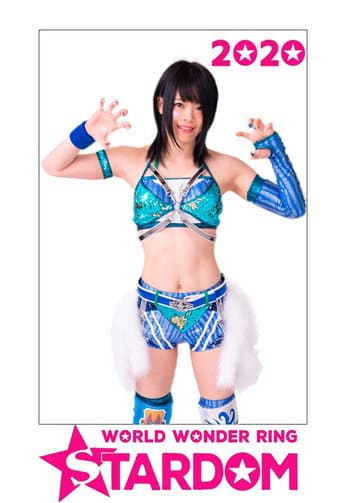 Stardom on Stardom World Season 10 poster