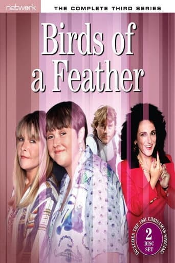 Birds of a Feather Season 3 poster