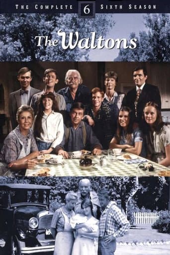 The Waltons Season 6 poster