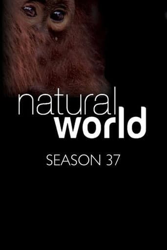 Natural World Season 37 poster