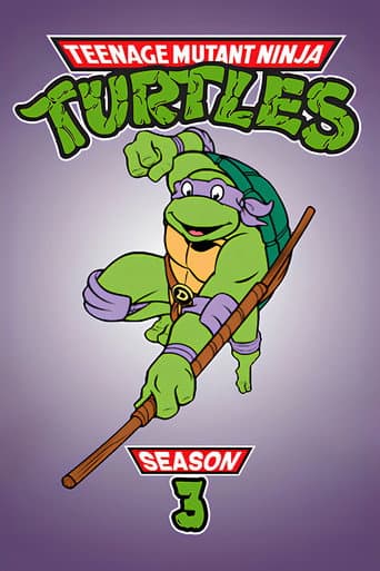 Teenage Mutant Ninja Turtles Season 3 poster
