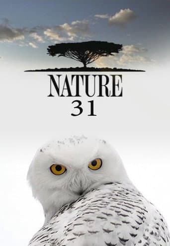 Nature Season 31 poster