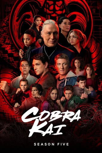 Cobra Kai Season 5 poster
