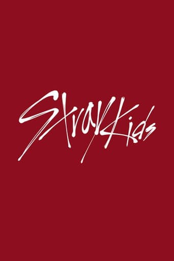 SKZ-TALKER poster