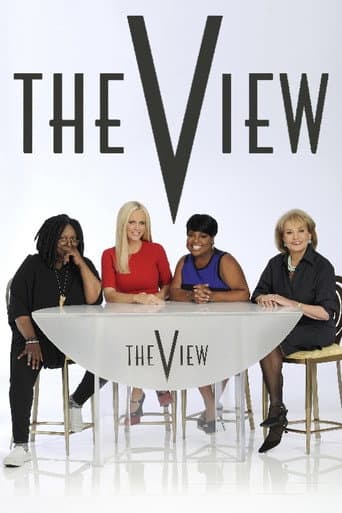 The View Season 17 poster