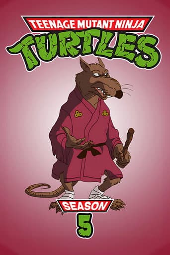 Teenage Mutant Ninja Turtles Season 5 poster