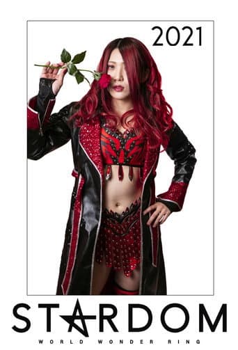 Stardom on Stardom World Season 11 poster