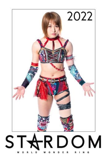Stardom on Stardom World Season 12 poster