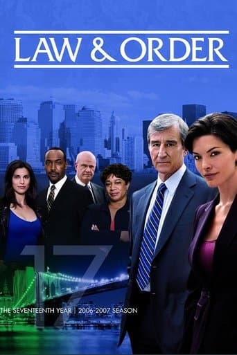 Law & Order Season 17 poster