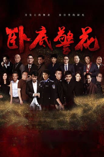 卧底警花 poster