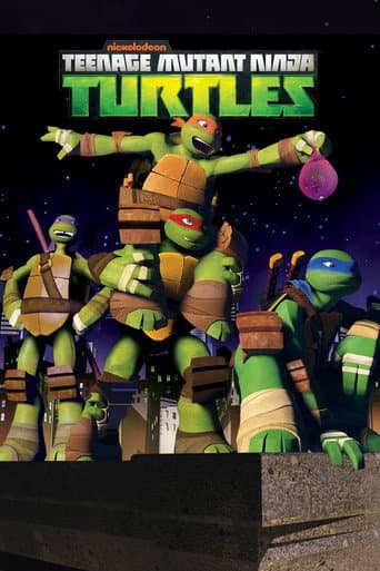Teenage Mutant Ninja Turtles Season 3 poster