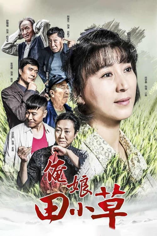 俺娘田小草 poster