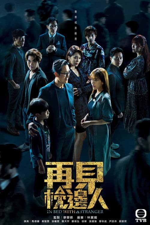 In Bed With A Stranger poster
