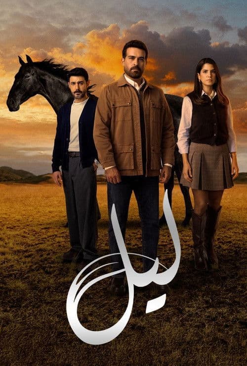 Layl poster