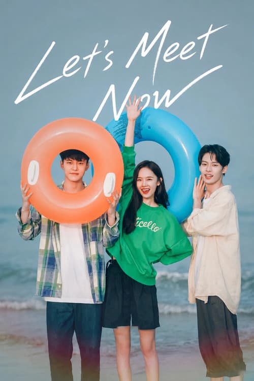 Let's Meet Now poster
