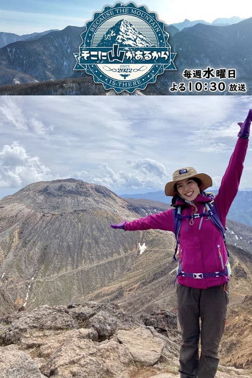 Because the Mountain is There poster