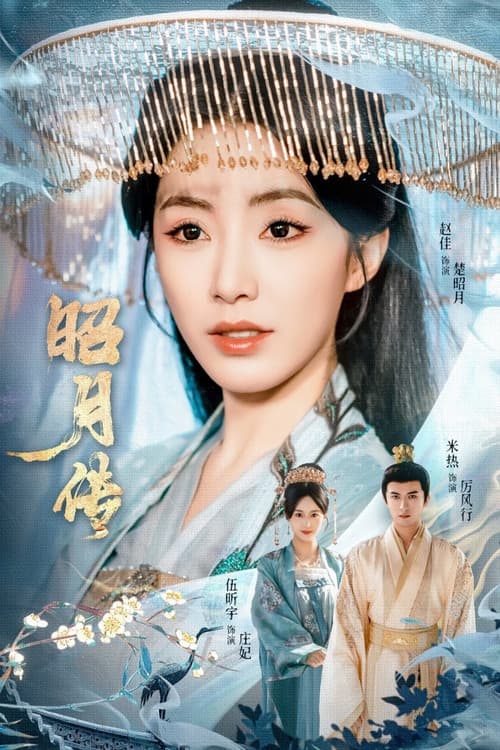 The Legend of Zhaoyue poster