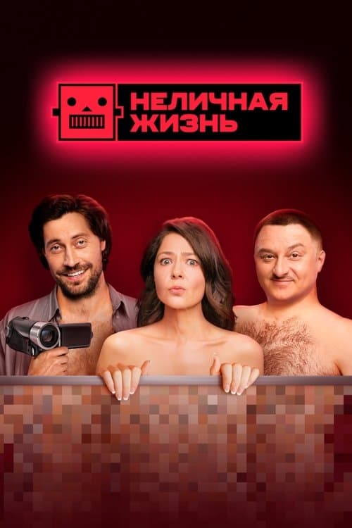 Not a Personal Life poster