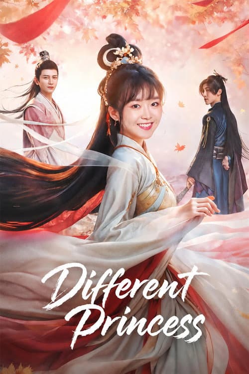 Different Princess poster