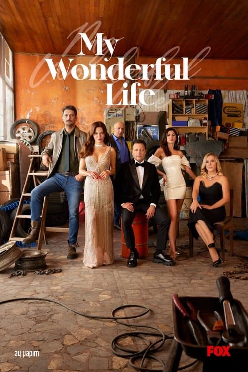 My Wonderful Life poster