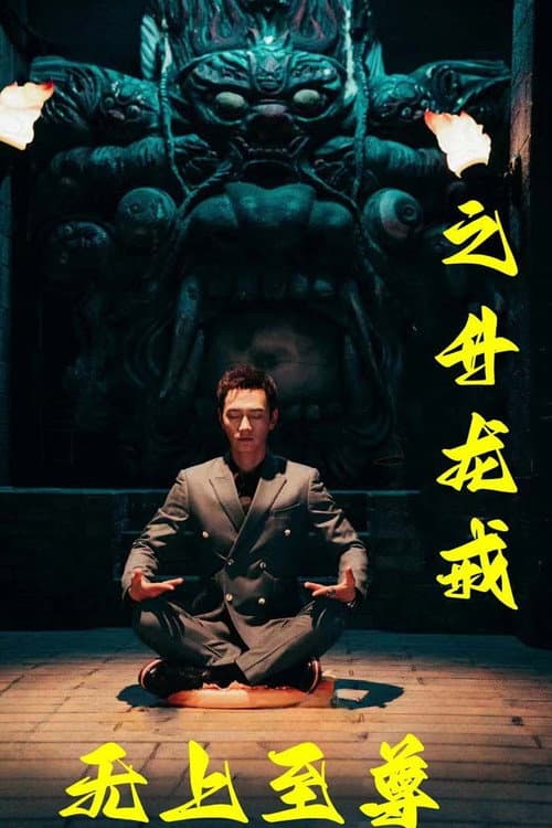 无上至尊之升龙戒 poster