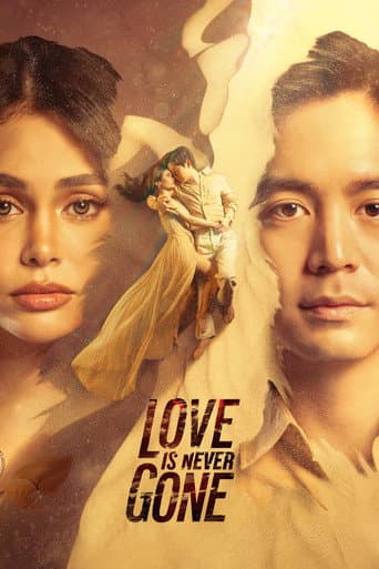Love Is Never Gone poster