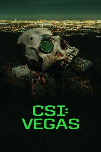 CSI: Vegas Season 1 poster