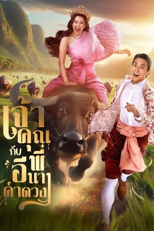 My Sassy Wedding poster